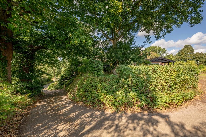 Walnut Hill, Surlingham, Norwich, Norfolk, NR14