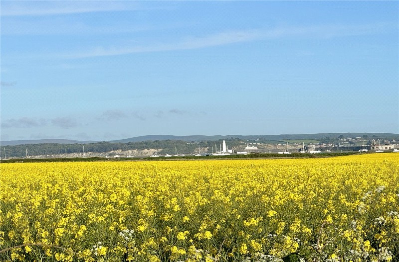Keyhaven Road, Milford on Sea, Lymington, Hampshire, SO41