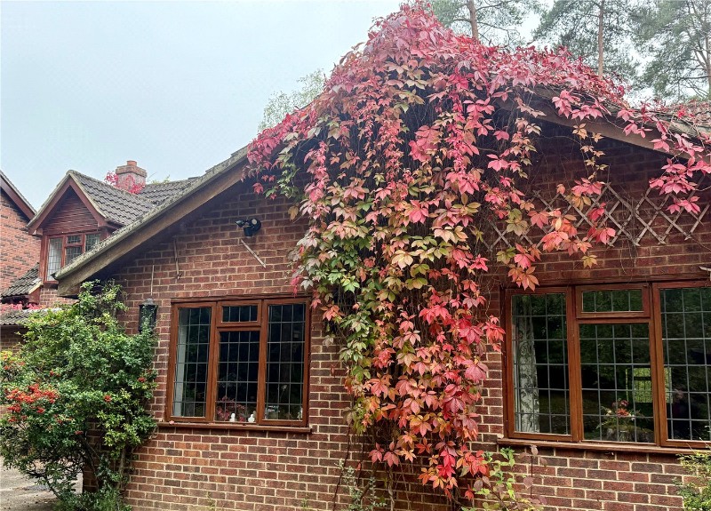 Hollybush Ride, Finchampstead, Wokingham, Berkshire, RG40