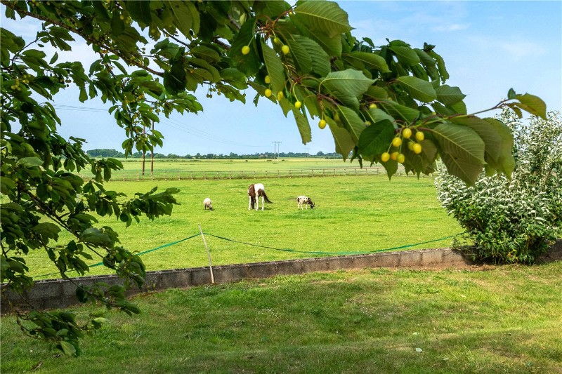 Walcot Fen, Billinghay, Lincoln, LN4