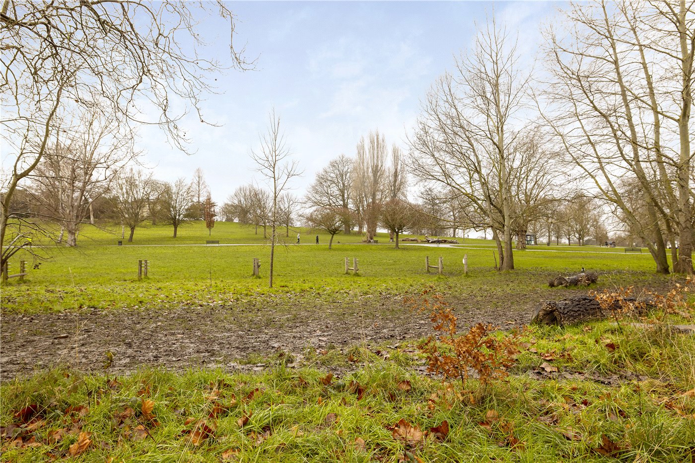Park View