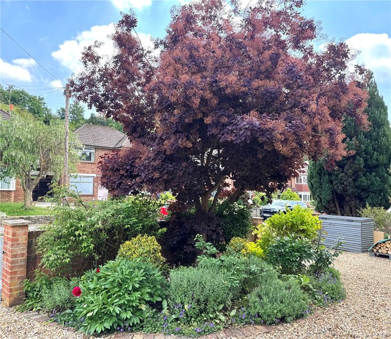Balmoral Road, Salisbury, Wiltshire, SP1