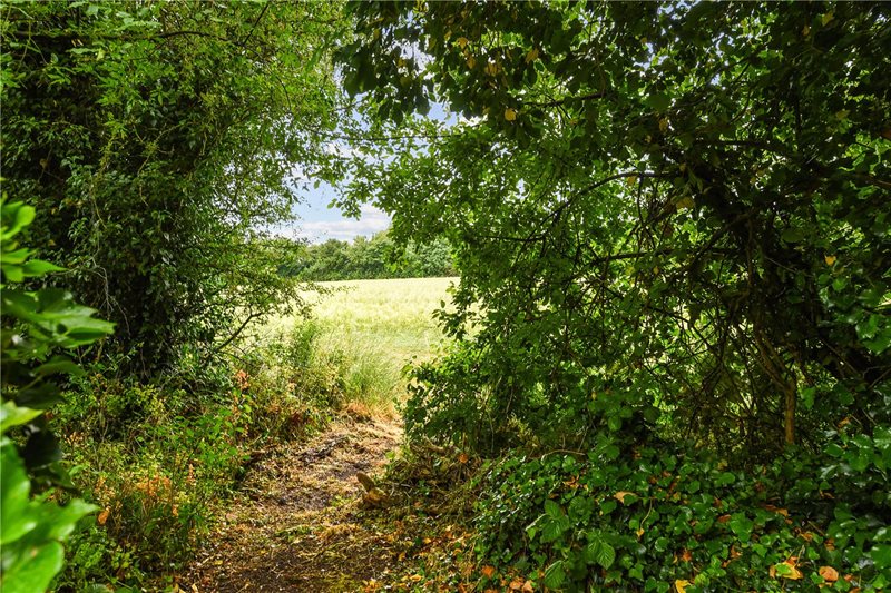 Springvale Avenue, Kings Worthy, Winchester, Hampshire, SO23