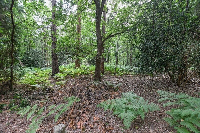 Hollybush Ride, Finchampstead, Wokingham, Berkshire, RG40