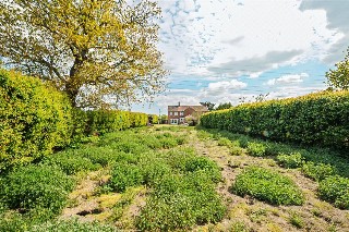 White Horse Lane, Arminghall, Norwich, Norfolk, NR14