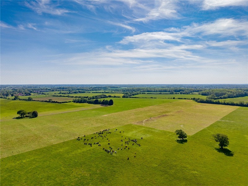 Kirstead Green, Kirstead, Norwich, Norfolk, NR15