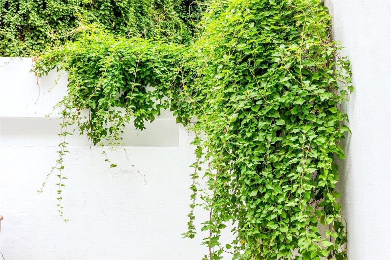 Gifford Street, London, N1