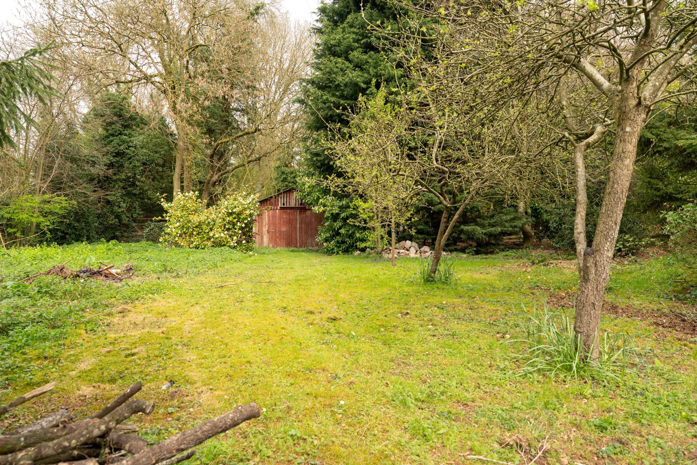 Grounds