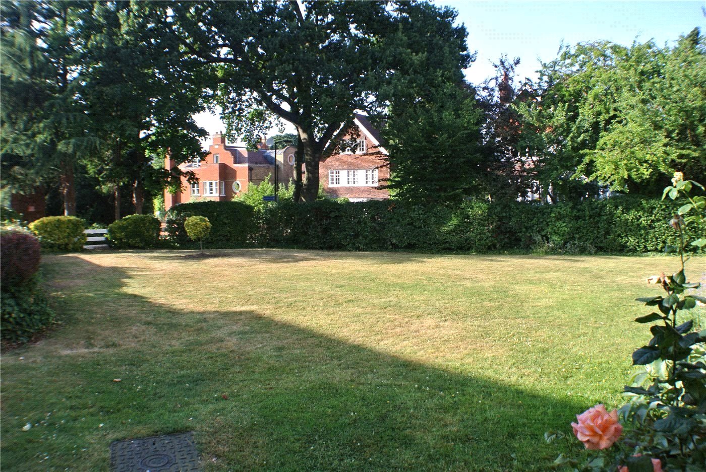 Picture No. 10