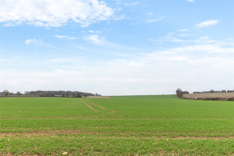 Horton, Wimborne, Dorset, BH21