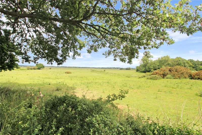 Langley Green, Langley, Norwich, Norfolk, NR14