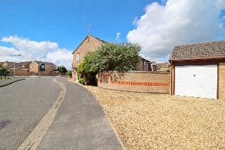 Foxgloves, Deeping St. James, Peterborough, Lincolnshire, PE6