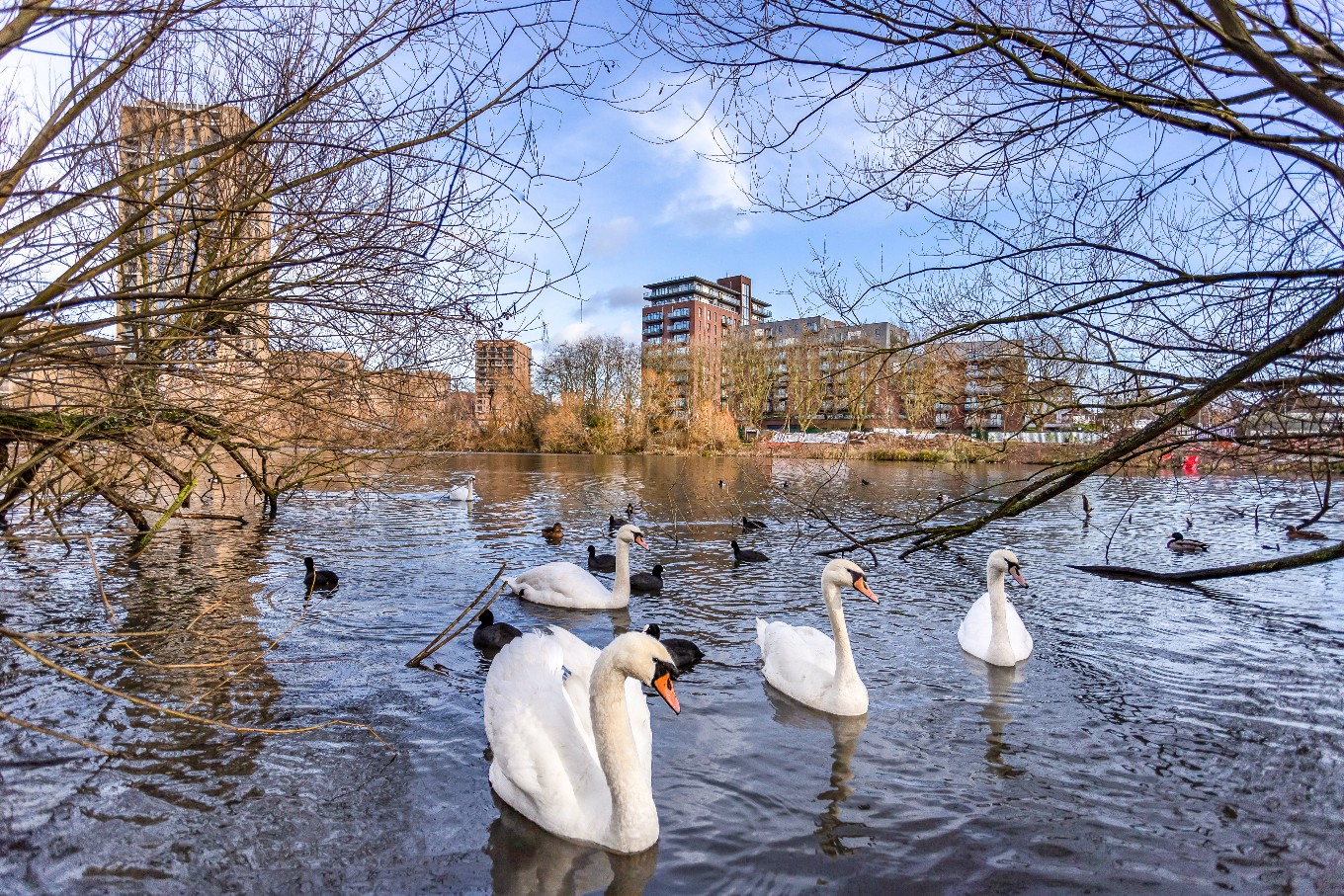 Estate Agents in West Hendon Winkworth West Hendon Estate Agents