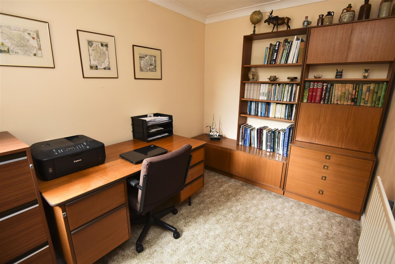 A STUDY DSC_1542.JPG