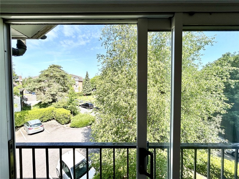 Pine Tree Glen, Bournemouth, BH4