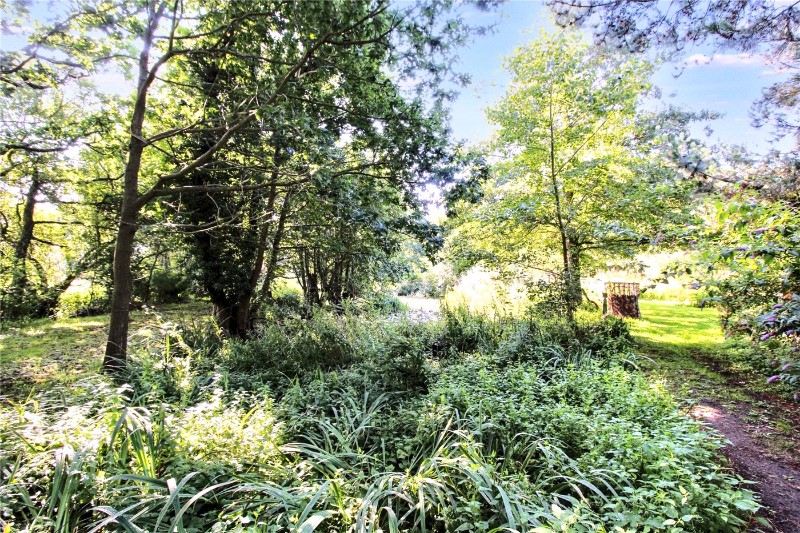 Blyford Lane, Wenhaston, Halesworth, Suffolk, IP19