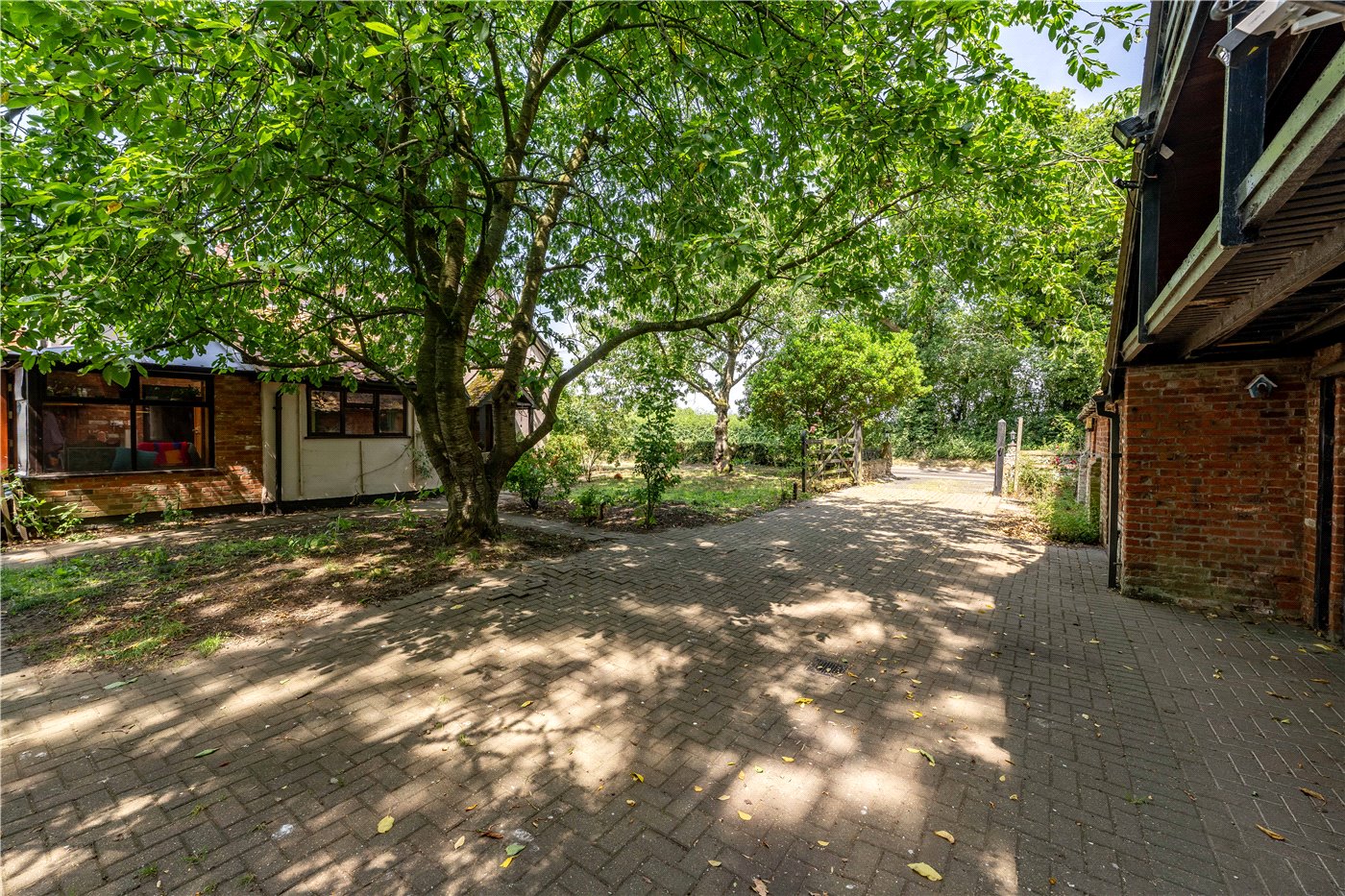 Driveway