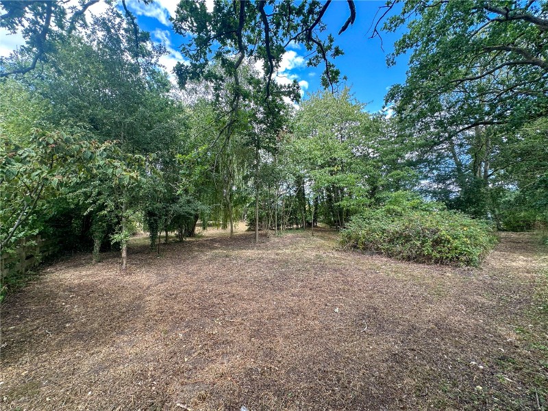 Burgate Lane, Alpington, Norwich, NR14