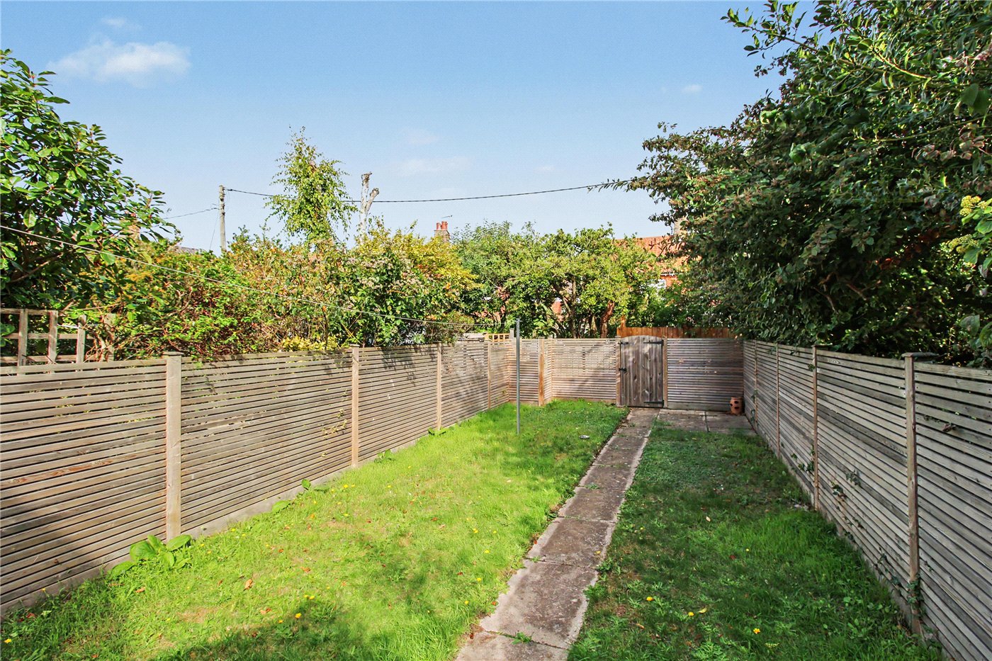 Garden