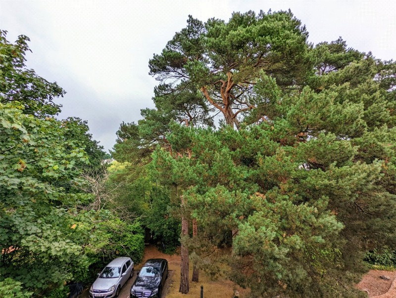 Surrey Road, Poole, BH12