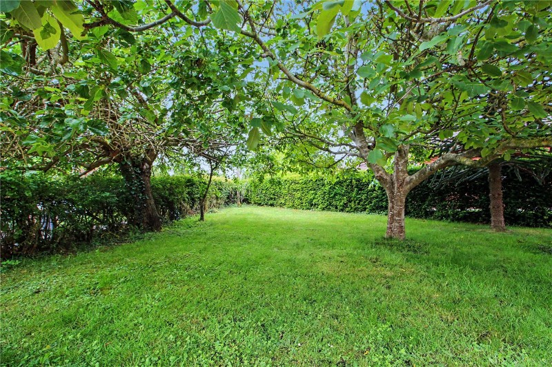 Walnut Hill, Surlingham, Norwich, Norfolk, NR14