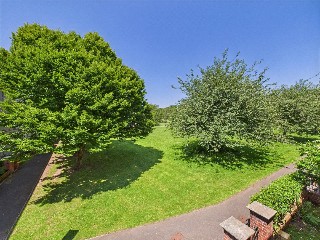 Mansell Copse Walk, Exeter, Devon, EX2