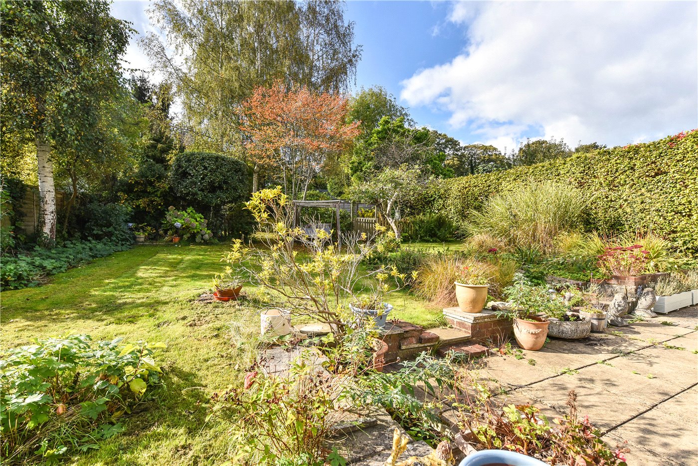 Garden