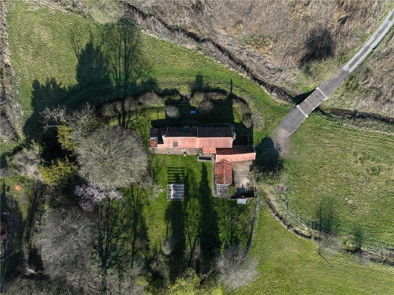 The Common, Shotesham St. Mary, Norwich, Norfolk, NR15