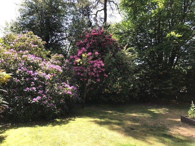 Winkworth Farnham