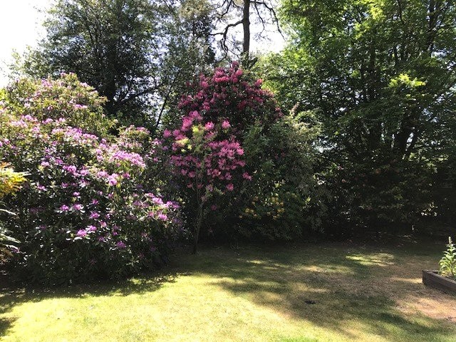 Grove Road, Hindhead, Surrey, GU26