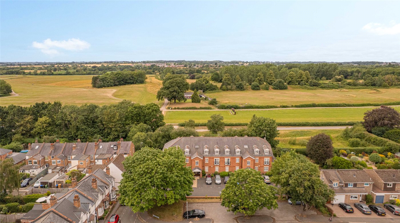 Ariel Shot