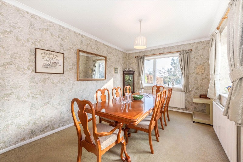 Bell Hill Ridge, Petersfield, Hampshire, GU32