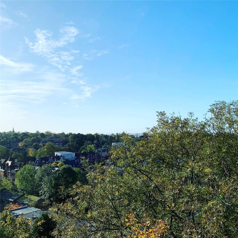 Central Hill, London, SE19