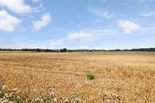 Entrance Lane, Brooke, Norwich, Norfolk, NR15