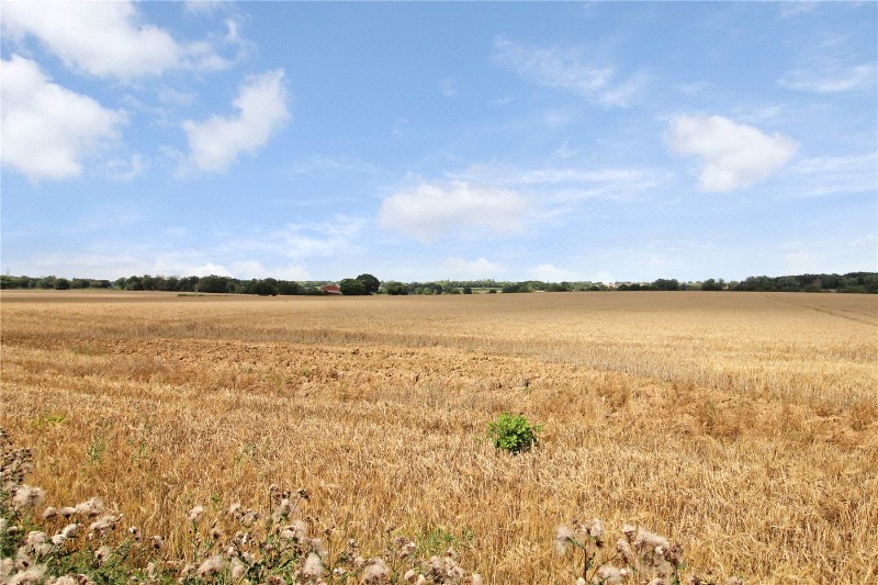 Entrance Lane, Brooke, Norwich, Norfolk, NR15