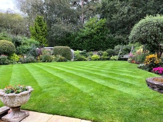Nine Mile Ride, Finchampstead, Wokingham, Berkshire, RG40