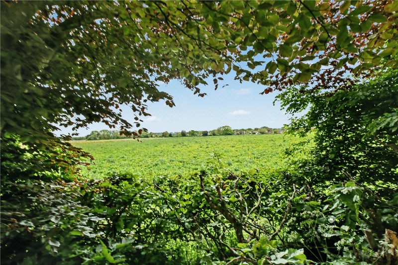 Ketts Hill, Necton, Swaffham, Norfolk, PE37