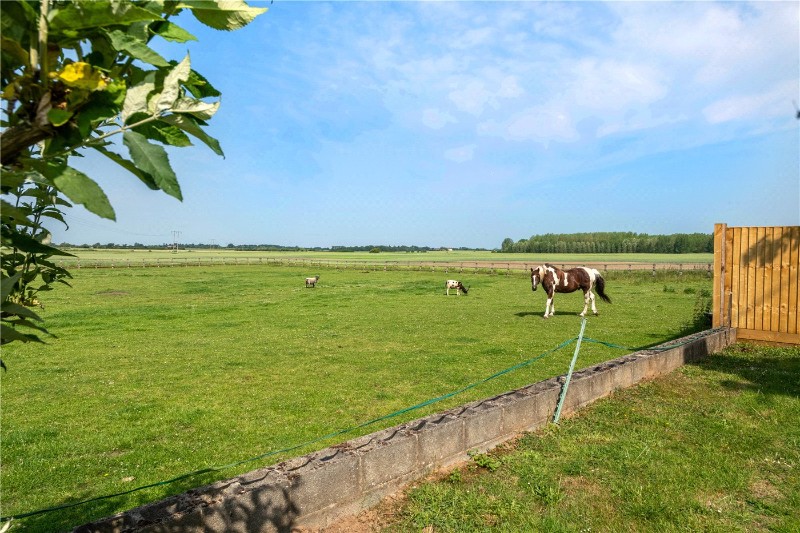 Walcot Fen, Billinghay, Lincoln, LN4