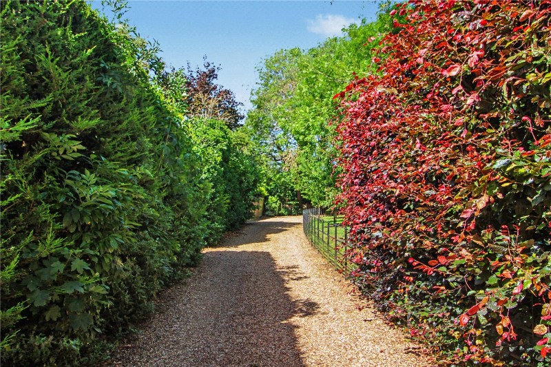 Northcroft, The Street, Brooke, Norwich, NR15