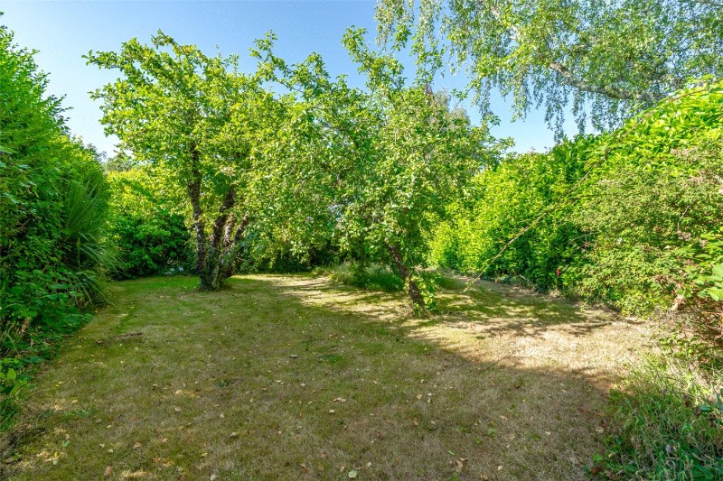 Ivy Road, Wimborne, Dorset, BH21