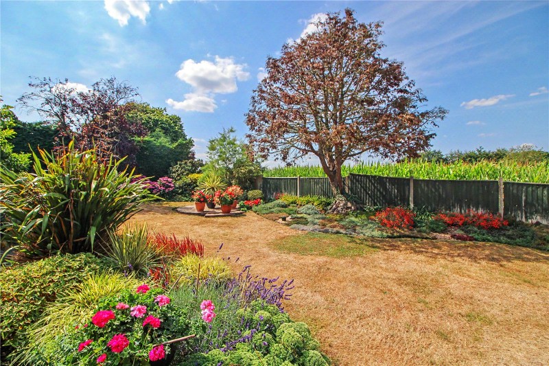 The Street, Surlingham, Norwich, Norfolk, NR14