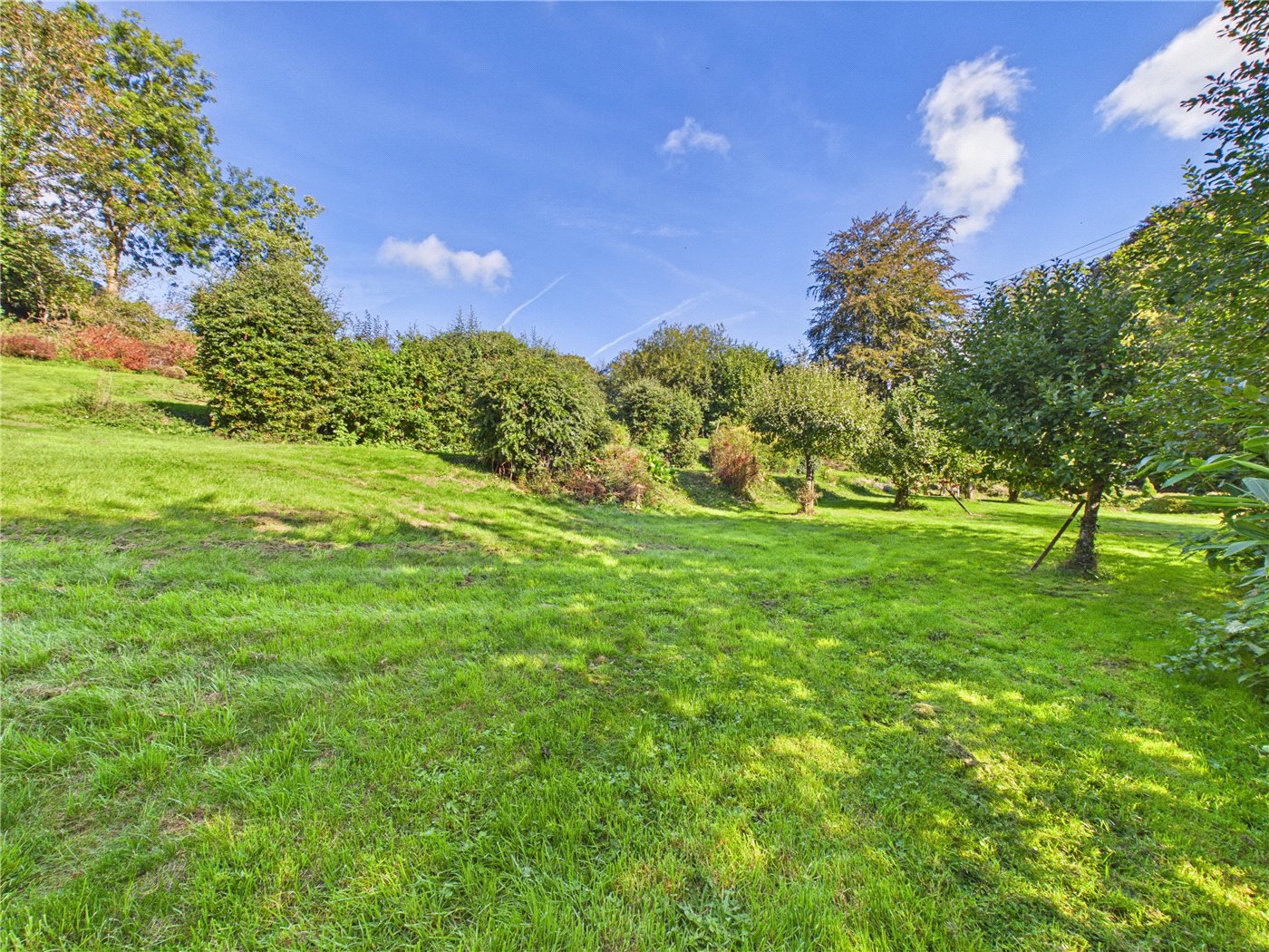 Grounds