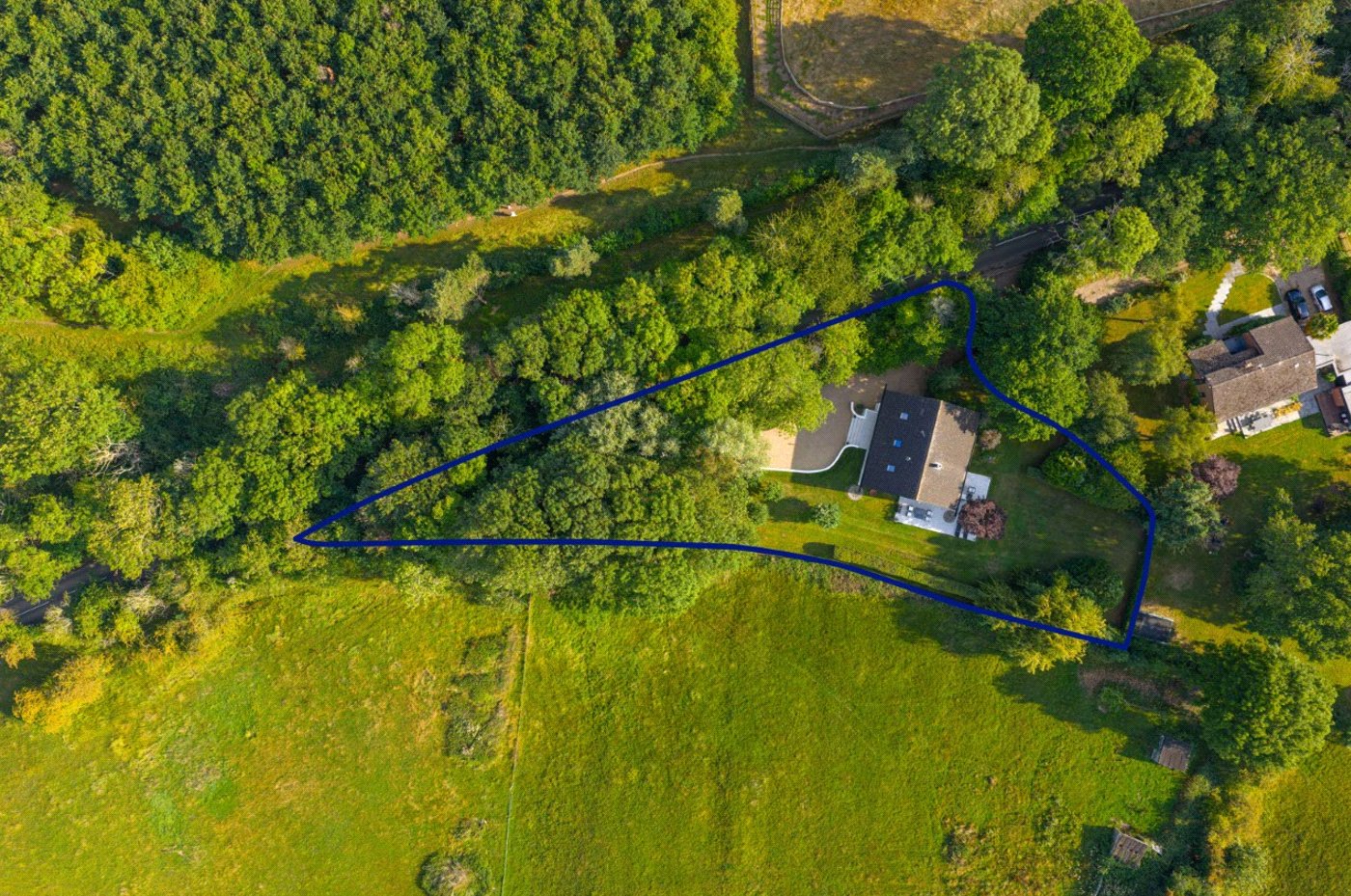 Birdseye