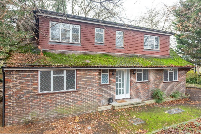 Highfield Hill, London, SE19