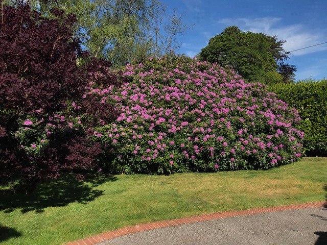 Winkworth Farnham
