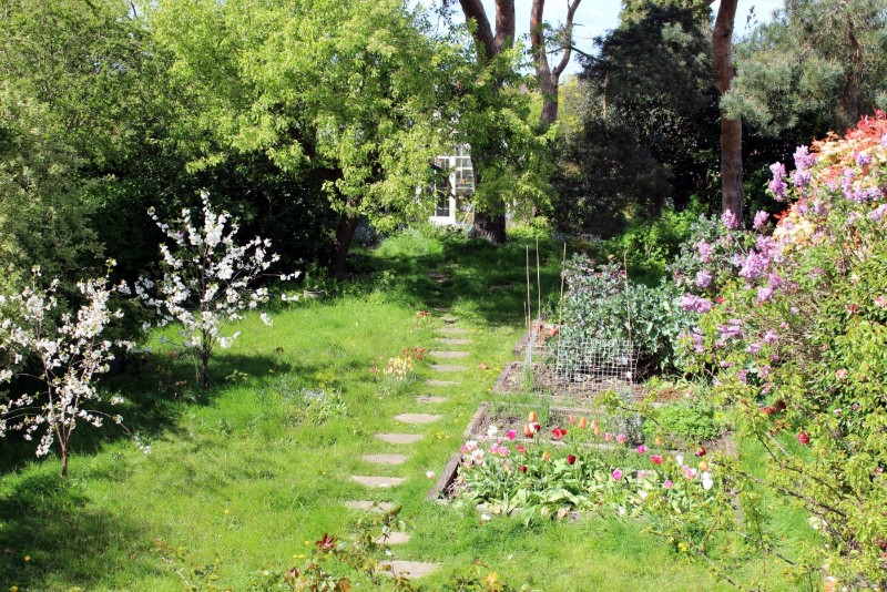 The Drive, Wallington, SM6