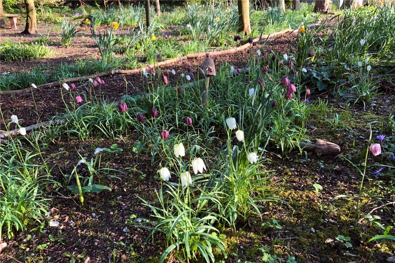 Meadow Close, Bridge, Canterbury, Kent, CT4