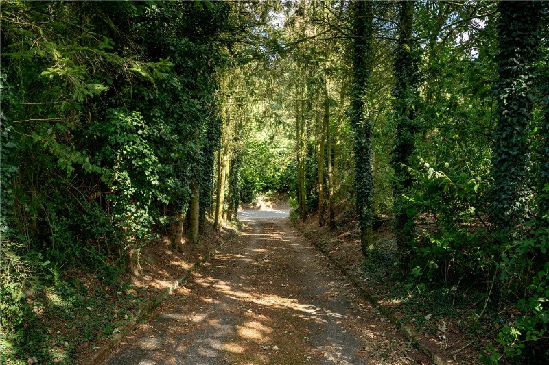 Bramerton Road, Surlingham, Norwich, Norfolk, NR14