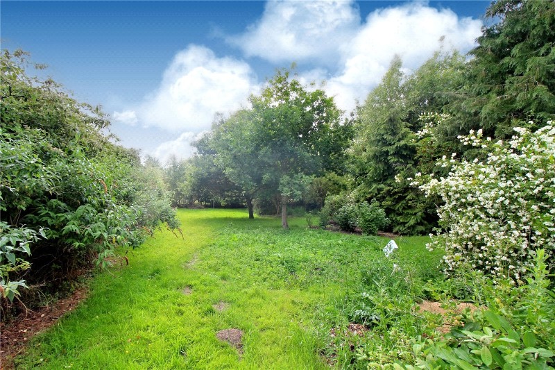 Blackwater Lane, Great Witchingham, Norwich, Norfolk, NR9