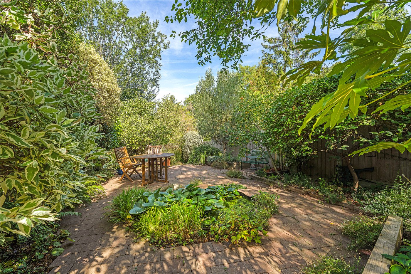 Garden